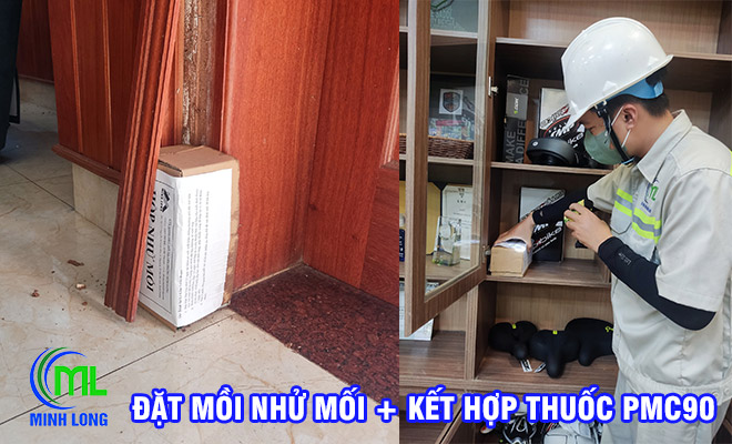 đặt hộp nhử mối 