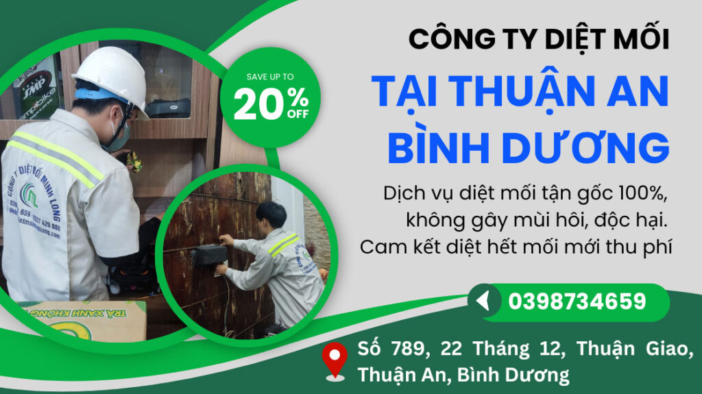 diệt mối tại thuận an