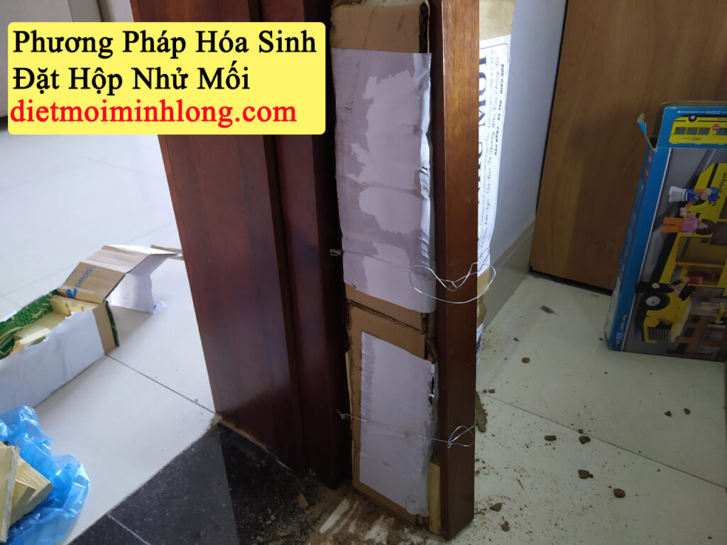 diệt mối tại thuận an bình dương