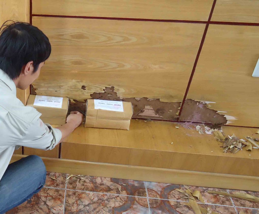 nguyên nhân nhà bị mối