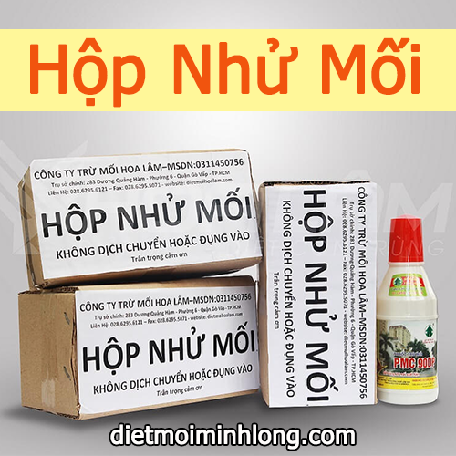 hộp nhử mối