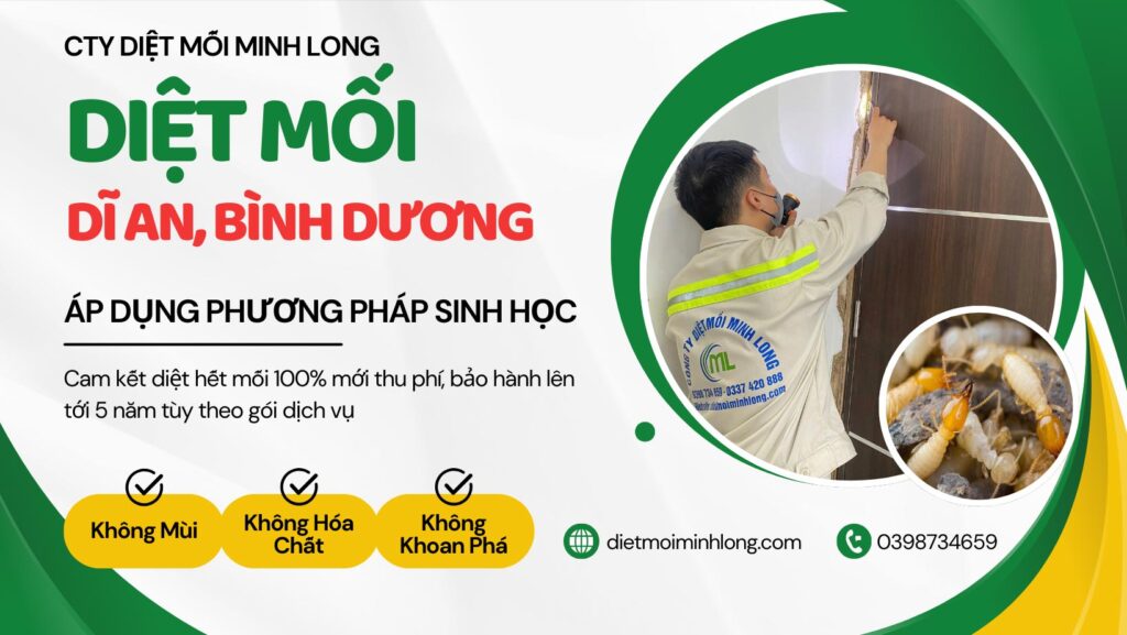 dịch vụ diệt mối tại dĩ an