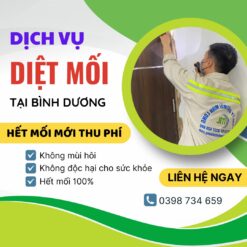 dịch vụ diệt mối tại bình dương