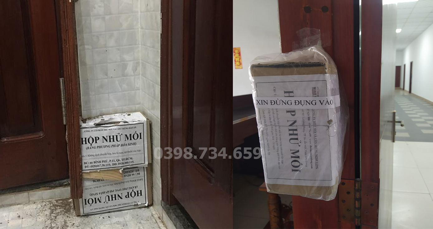 diệt mối tại tân uyên