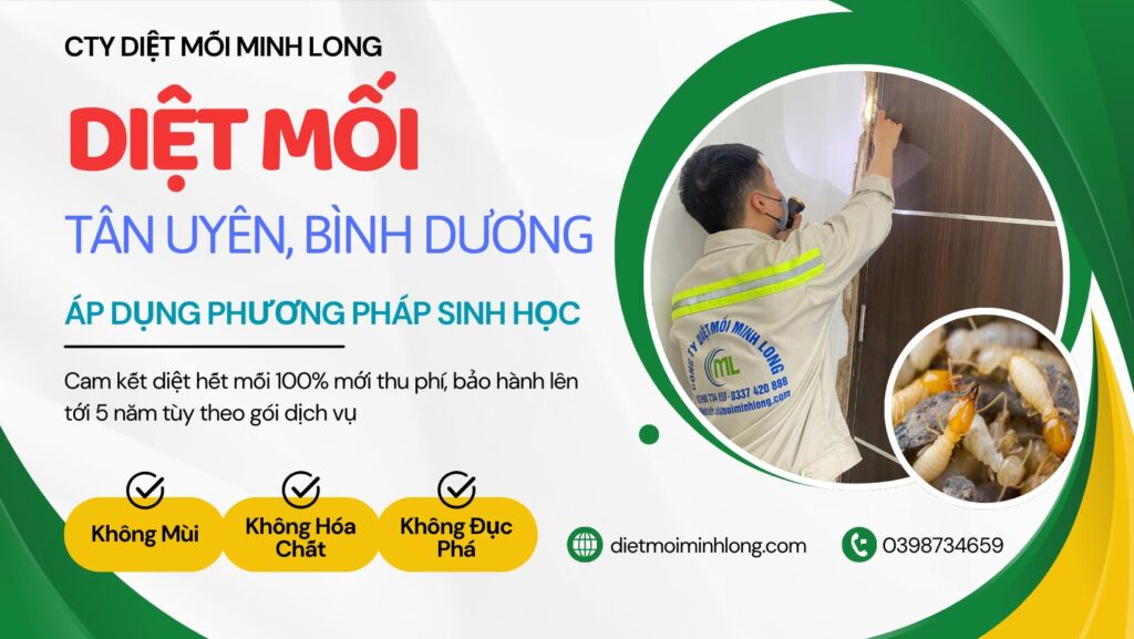 diệt mối tại tân uyên