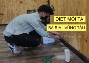 diet-moi-vung-tau