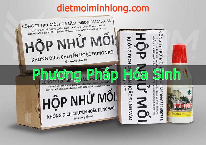 phương pháp diệt mối hóa sinh