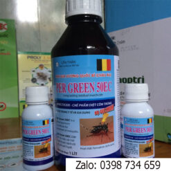 thuốc diệt muỗi Per Green 50EC