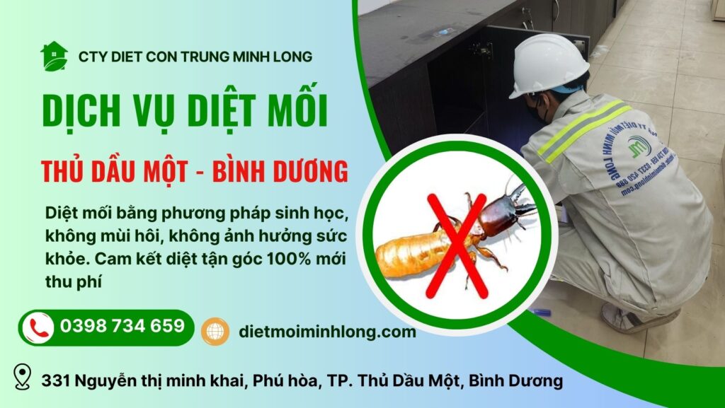 diệt mối tại thủ dầu một bình dương