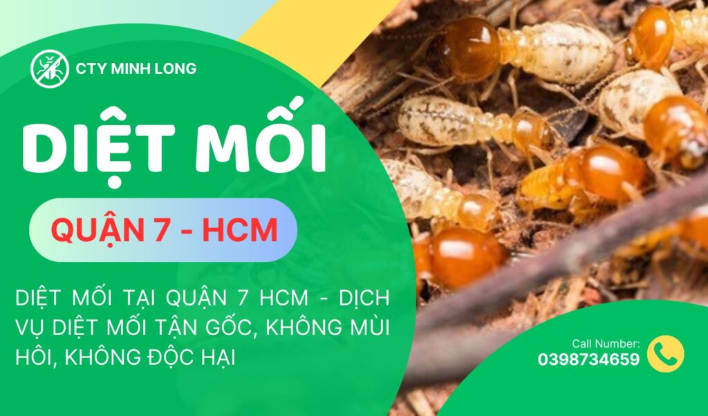 diệt mối tại quận 7