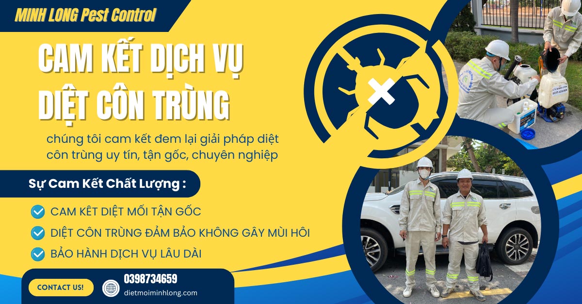 Cam kết dịch vụ