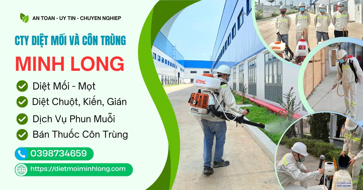 diệt mối minh long