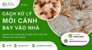cách đuổi mối cánh bay vào nhà