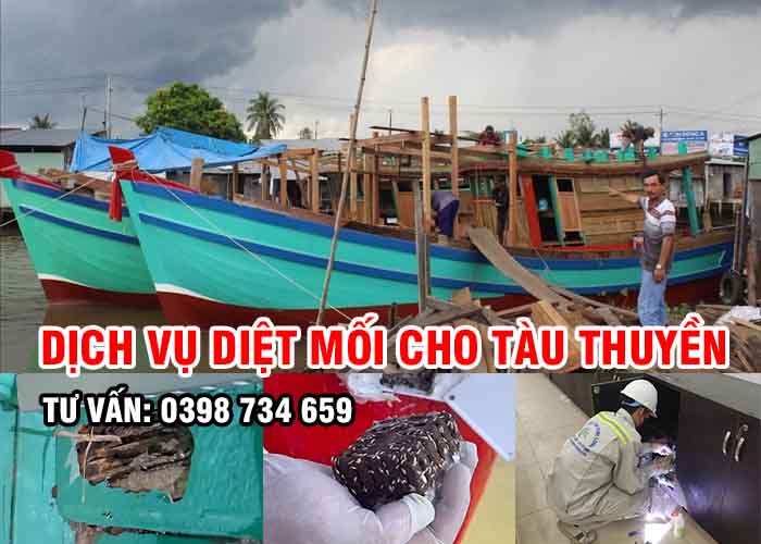 diệt mối cho ghe tàu